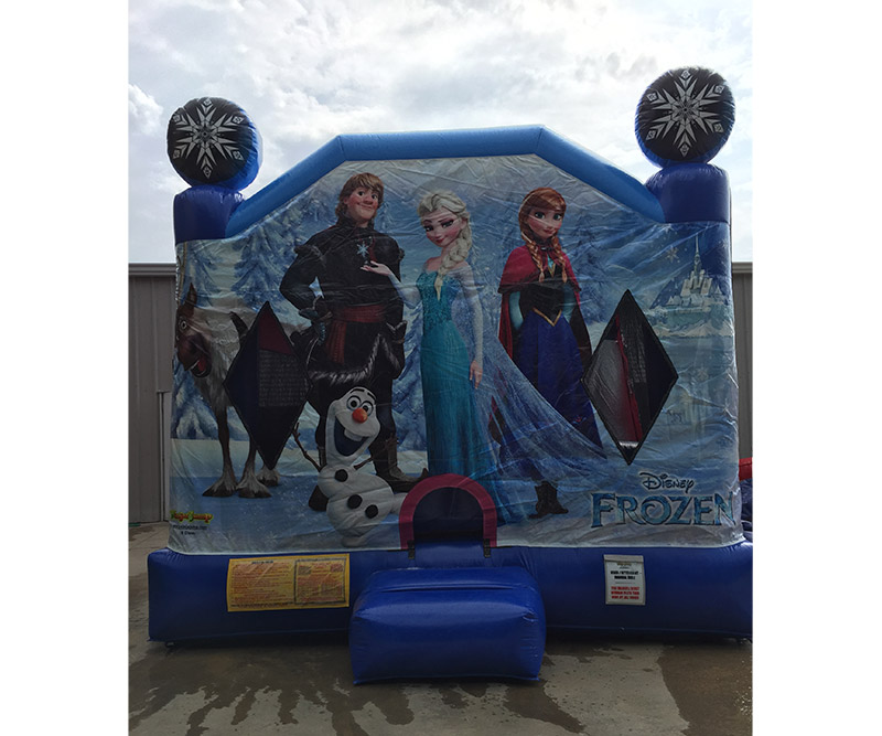 Frozen Themed Inflatable Party Rental Beaufort SC