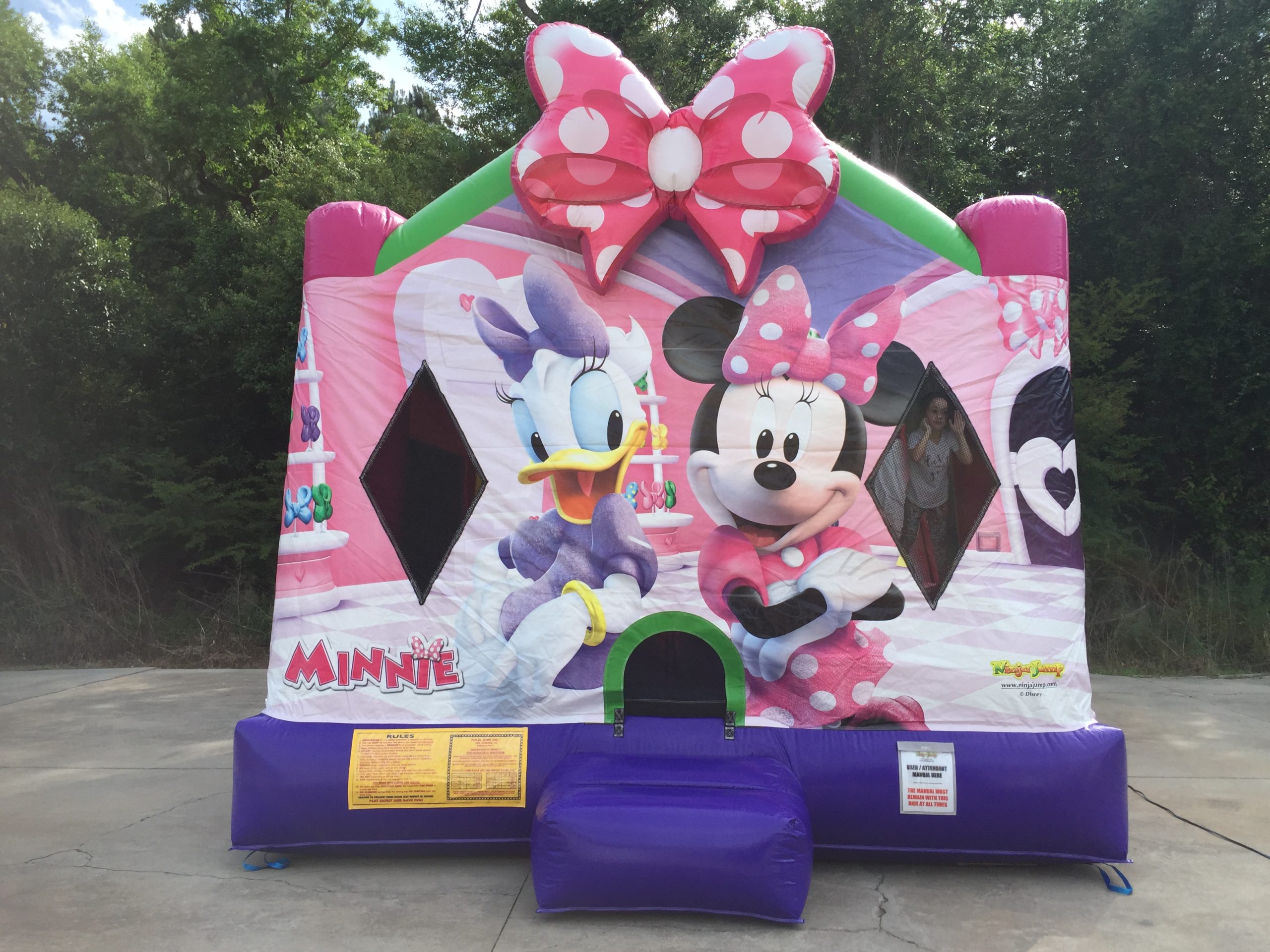 Pink Disney Themed Bounce House